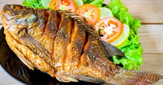 Receitas Rápida e Fácil: Peixe Tilápia Frito