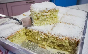 Bolo Gelado Toalha Felpuda de Coco: Cremoso e Molhadinho uma Delícia de Bolo